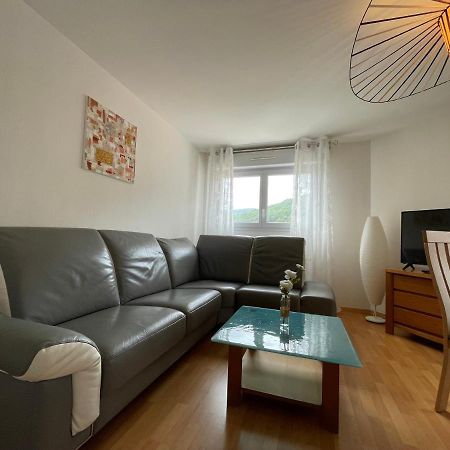 Le Brin D'Osier Apartment Kaysersberg-Vignoble Luaran gambar
