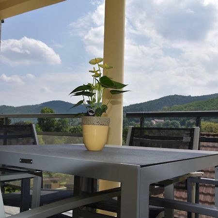 Le Brin D'Osier Apartment Kaysersberg-Vignoble Luaran gambar