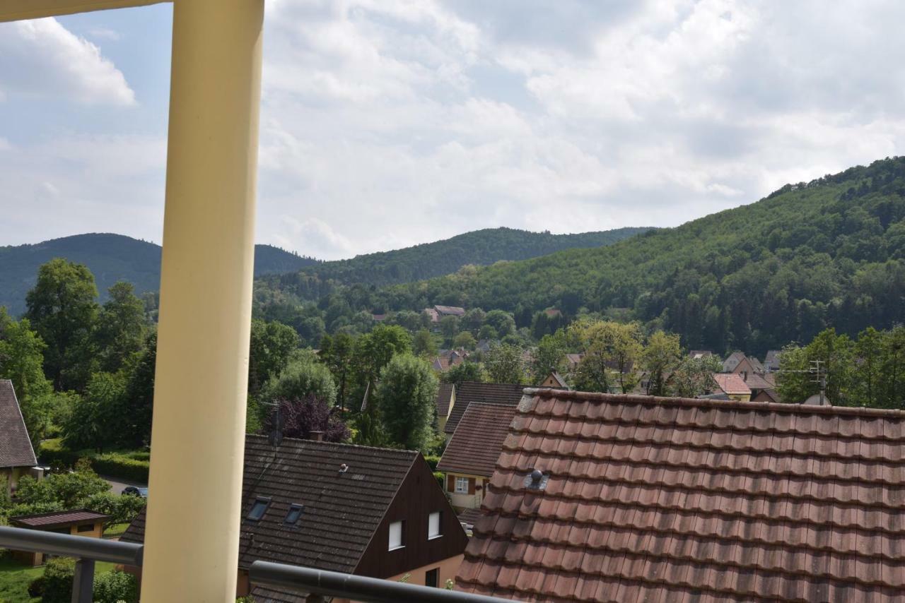 Le Brin D'Osier Apartment Kaysersberg-Vignoble Luaran gambar