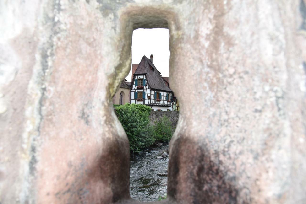 Le Brin D'Osier Apartment Kaysersberg-Vignoble Luaran gambar