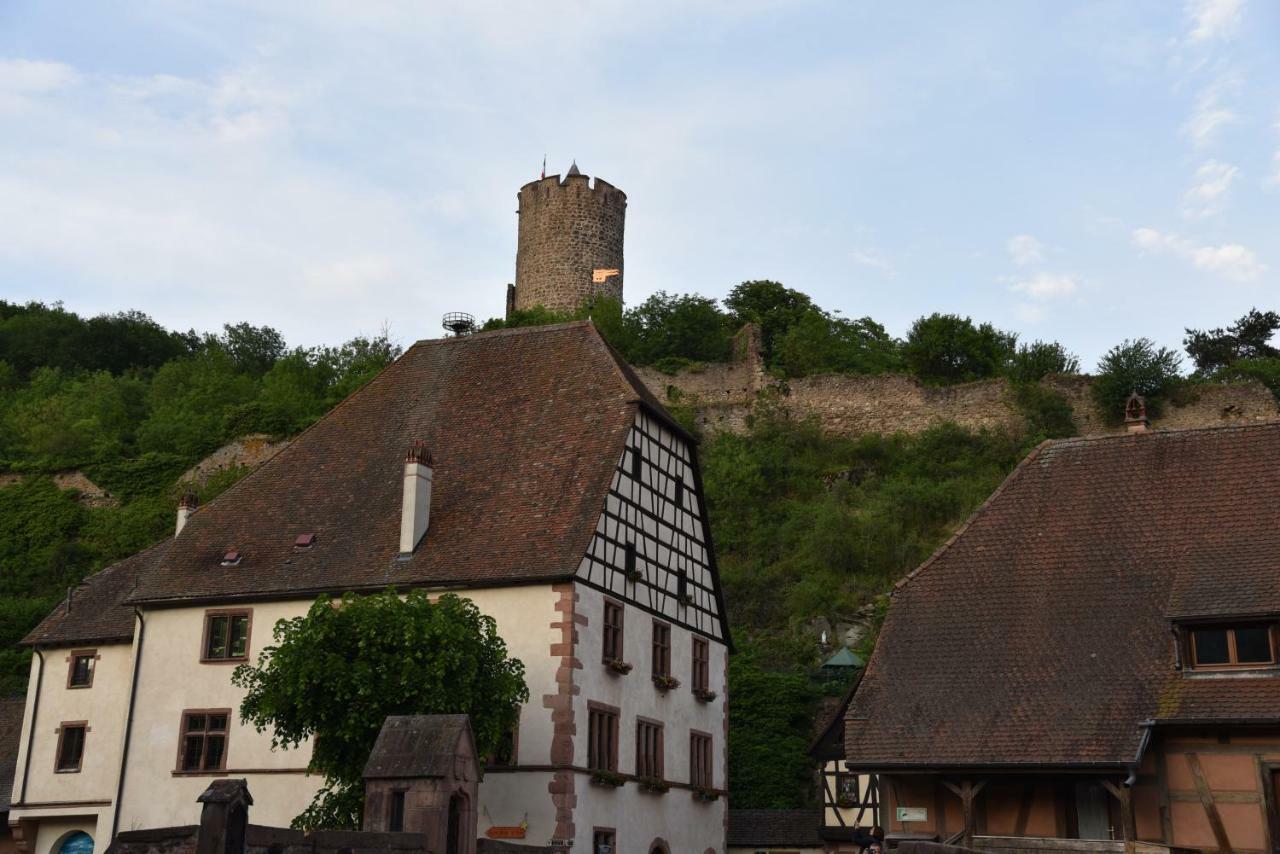 Le Brin D'Osier Apartment Kaysersberg-Vignoble Luaran gambar