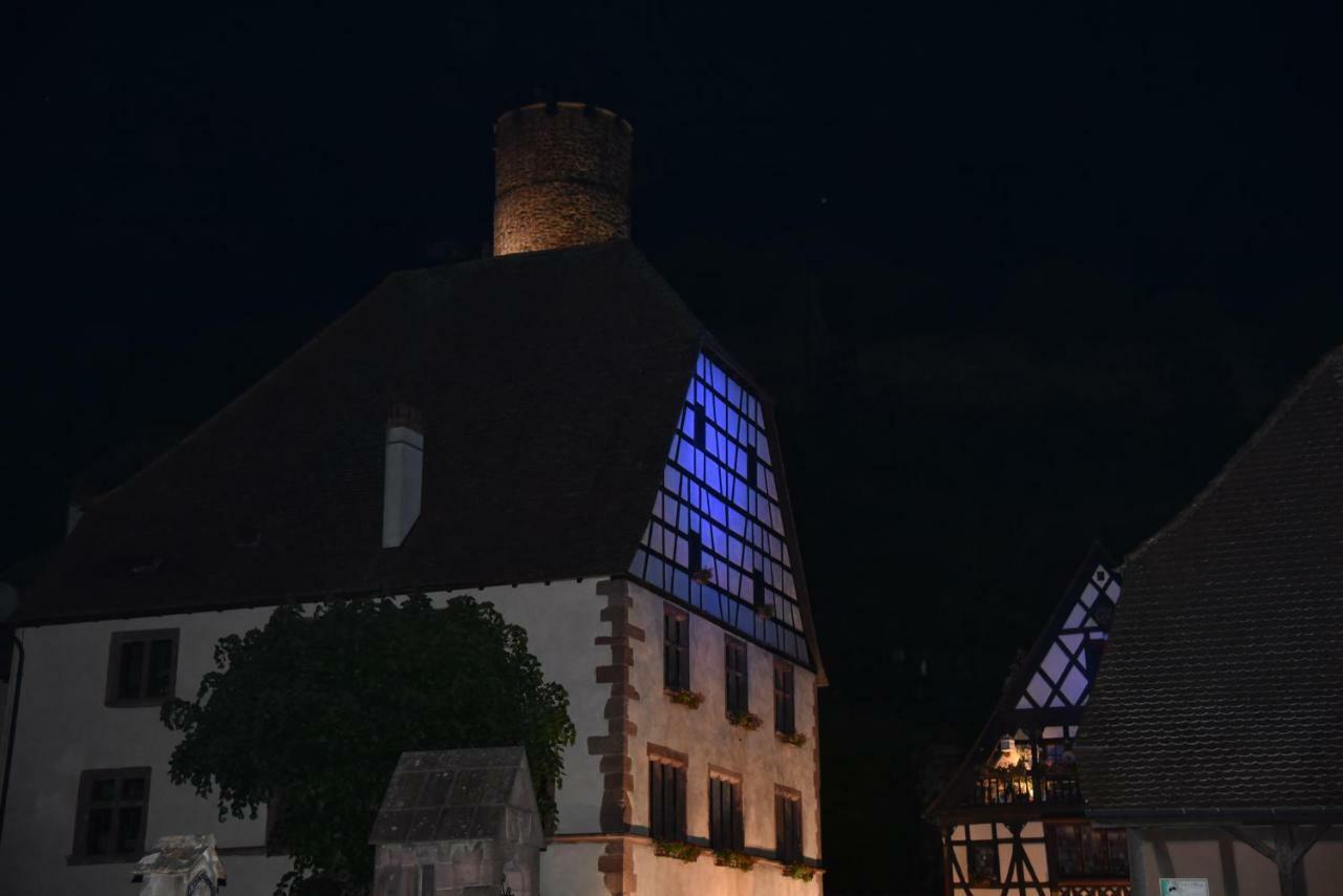 Le Brin D'Osier Apartment Kaysersberg-Vignoble Luaran gambar