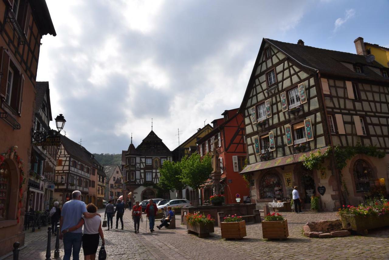 Le Brin D'Osier Apartment Kaysersberg-Vignoble Luaran gambar