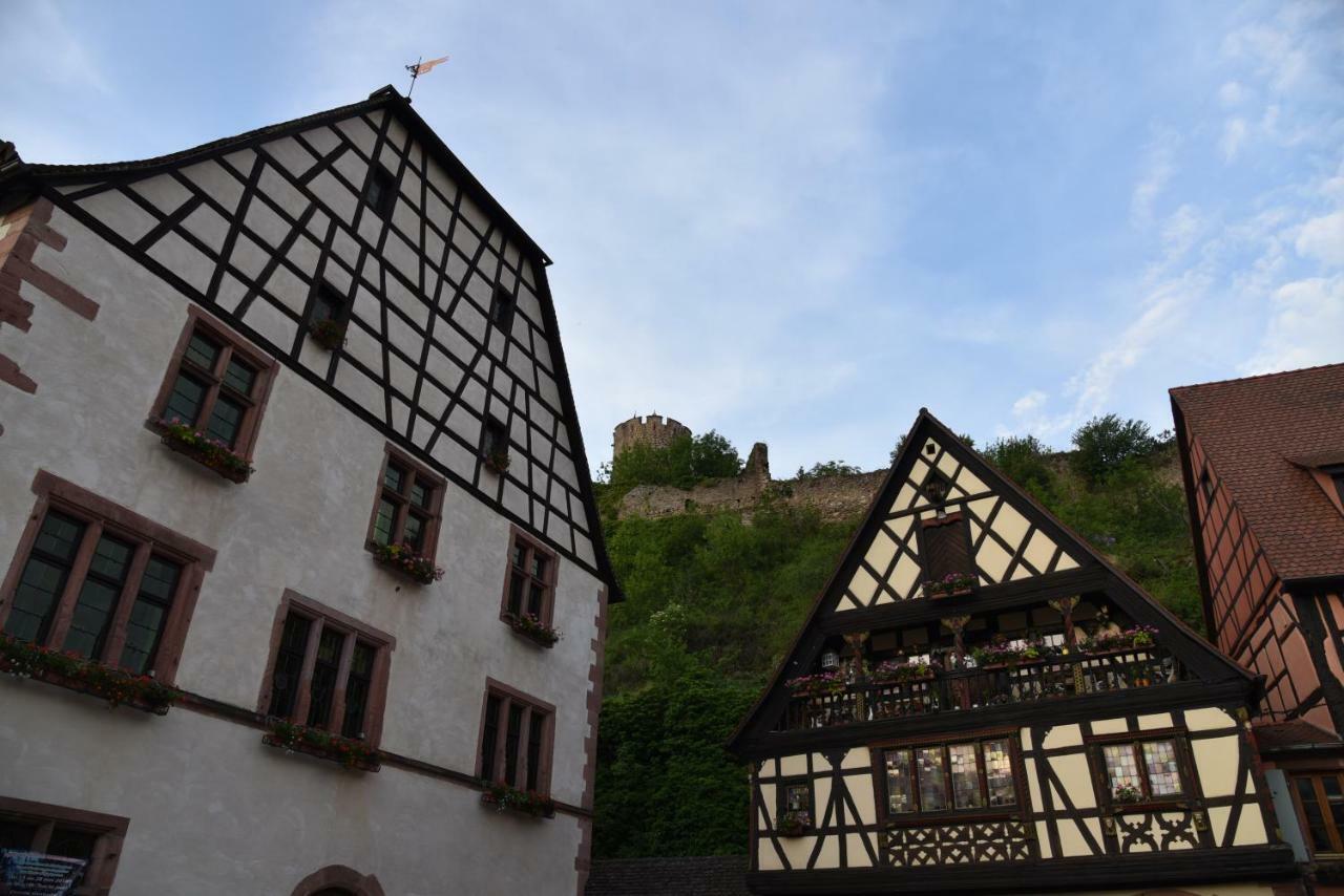 Le Brin D'Osier Apartment Kaysersberg-Vignoble Luaran gambar