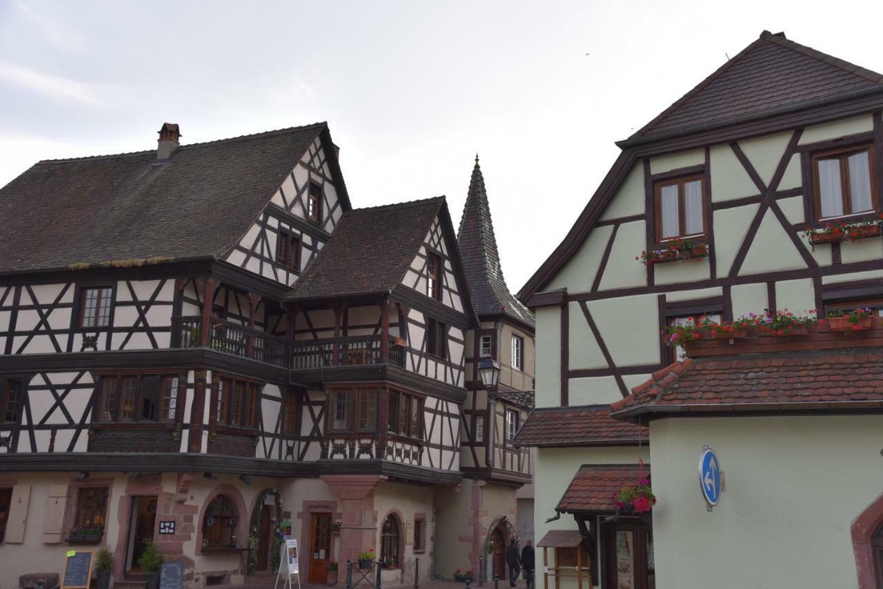 Le Brin D'Osier Apartment Kaysersberg-Vignoble Luaran gambar