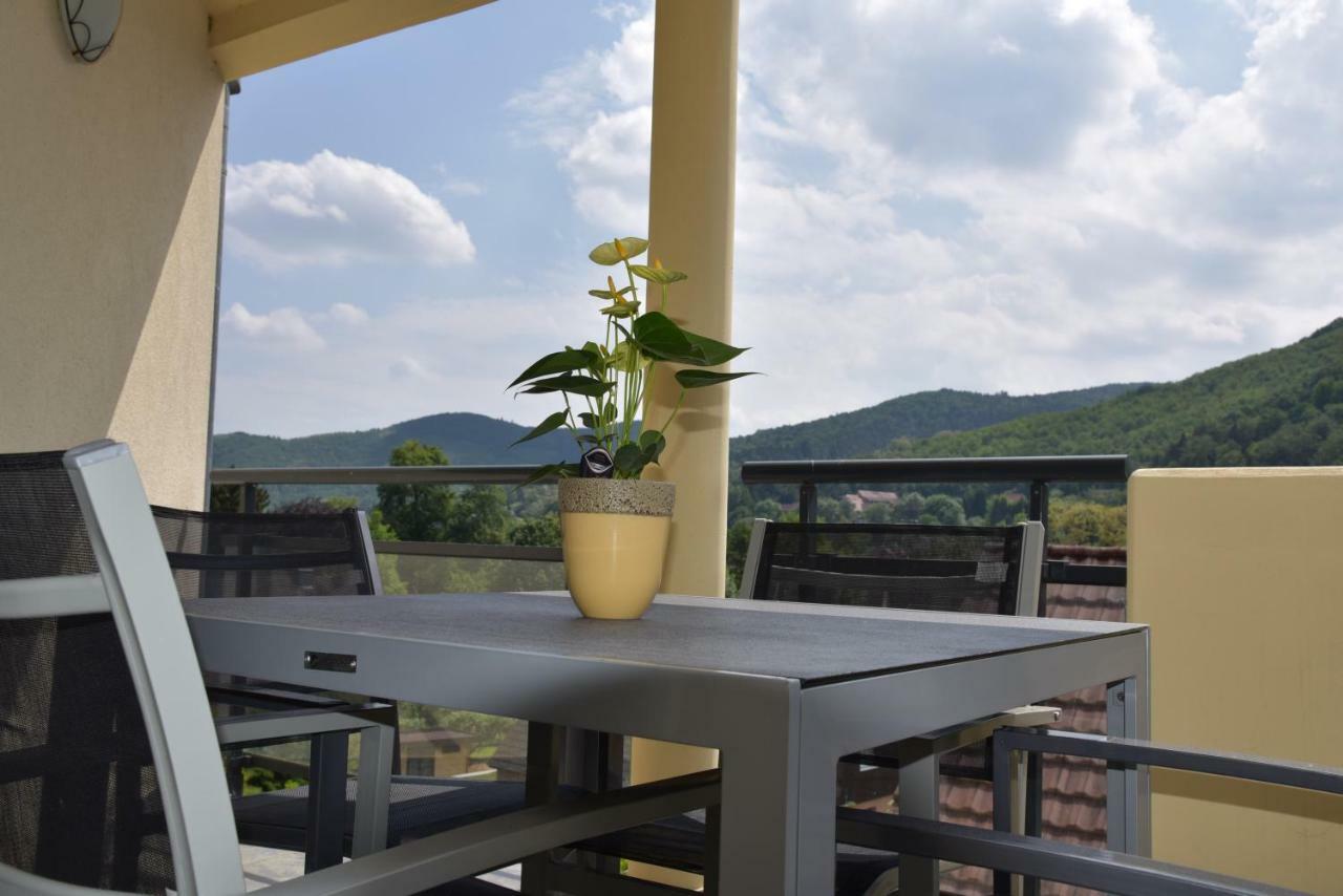 Le Brin D'Osier Apartment Kaysersberg-Vignoble Luaran gambar